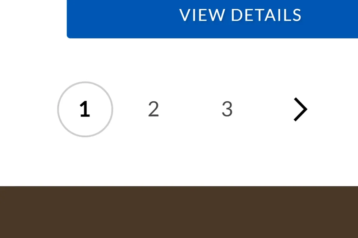 Product display with pagination controls and view details button